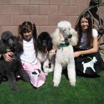 Rain, Biscotti, Major, and Halle and Morgan in their poodle skirts!